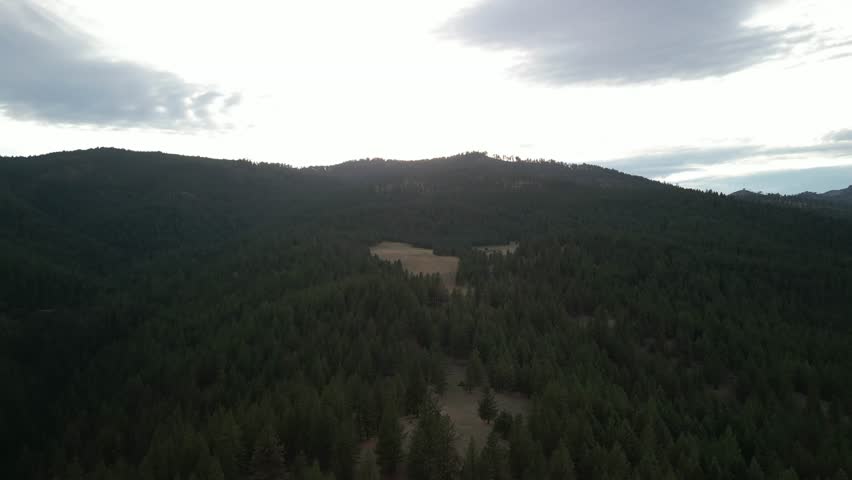 Aerial above pine tree forest in White Bird Idaho on hazy fall day