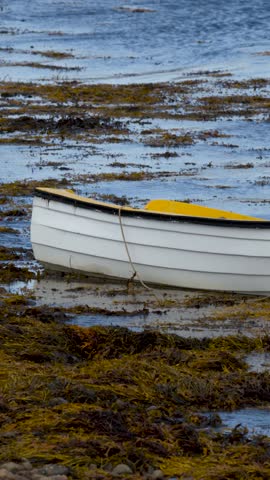 White dinghy gently rocks on kelp-strewn shore, overcast daylight, static camera, coastal environment
