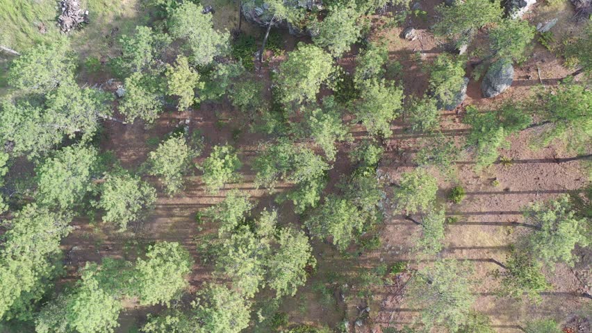 Black Hills South Dakota Aerial View