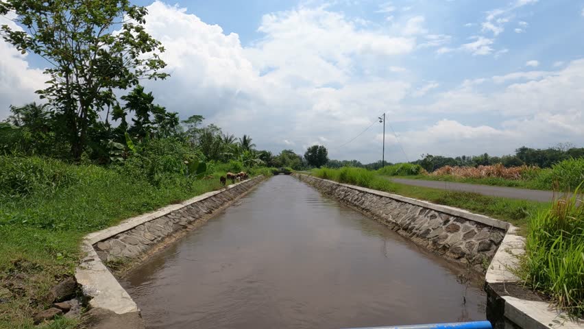Paddy Water Flow Irrigation Scene – Southeast Asia Agriculture - Java, Indonesia