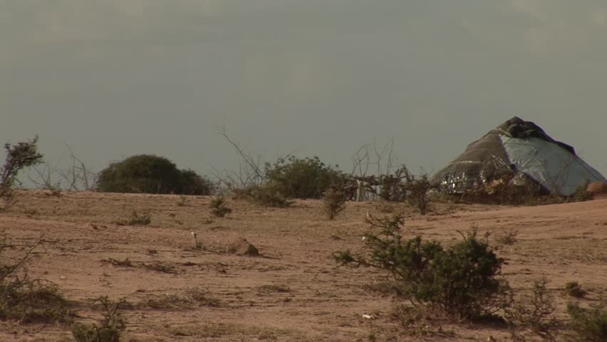 A small traditional hut stands on a dry, sparsely vegetated landscape in a semi-arid region. Low shrubs and thorny branches surround the structure, reflecting pastoral or nomadic settlement.