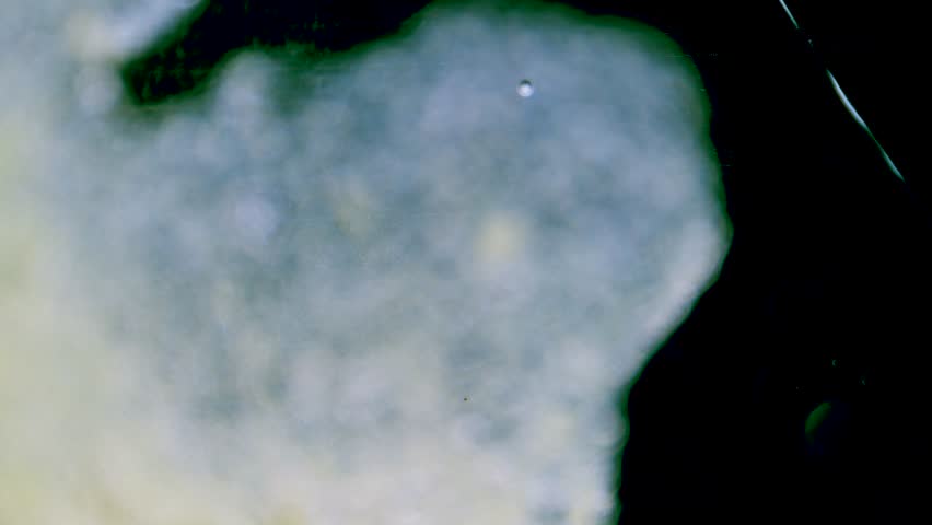 Wide shot of plant breathing cells stomata under microscope dark field