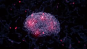 Futuristic digital brain displayed on a screen with internal structures visible, highlighting neural networks, artificial intelligence, brain simulation, and advanced technology visualization. - Powered by Shutterstock - Get 15% off with code: PIKWIZARD15