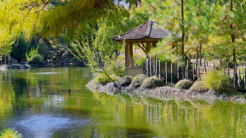 Scenic landscape of Japanese garden with in Fort Worth botanical gardens in autumn time.