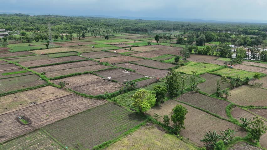Aerial view shows vast expanses of agricultural fields with green plants and fertile soil, forming a beautiful rural agricultural landscape under a cloudy sky near a power line.