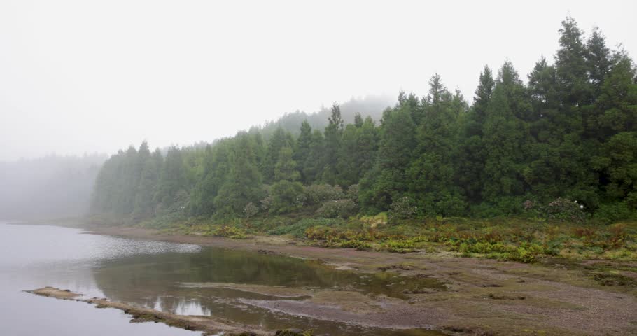 A foggy day with a lake at Lagoa Rasa and a path leading to it. The path is lined with plants and rocks. Pan left shot.