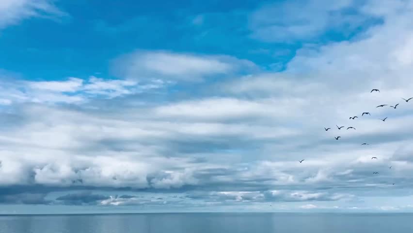 Serene Ocean Horizon with Birds in Blue Sky