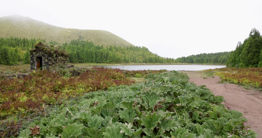 A small stone cabin on a foggy day with a lake at Lagoa Rasa and a path leading to it. The path is lined with plants and rocks. Pan left shot.