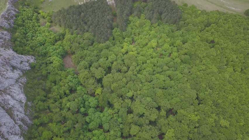 Aerial View Of Green Vegetation And Valley Eroded Grassland On Mountainside