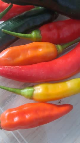 A variety of chili peppers, including green, orange, and red ones.