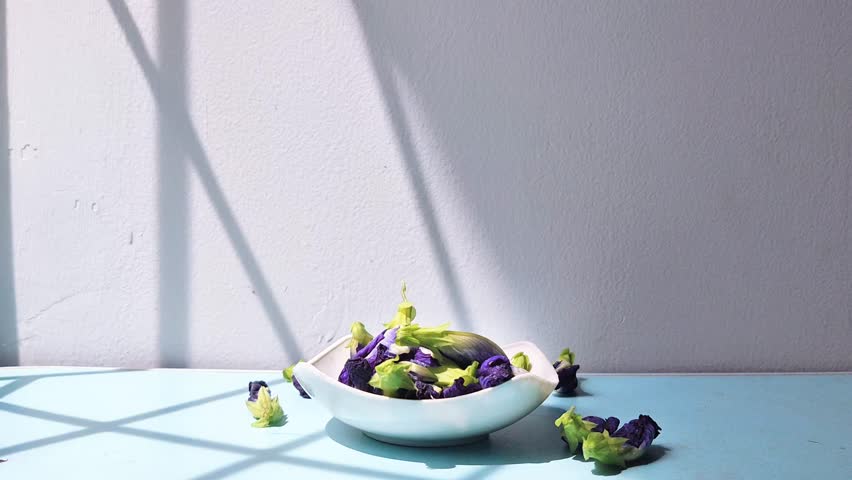 A hand picking up fresh Butterfly Pea flowers (clitoria ternatea) from a white bowl on blue table. A bright, video with window shadows, depicting the preparation of herbal tea or natural ingredients.