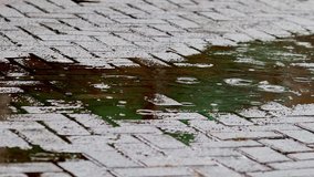 Raindrops hitting the conblock surface, showing water splashes and ripples during a rainy day with reflective wet pavement. - Powered by Shutterstock - Get 15% off with code: PIKWIZARD15