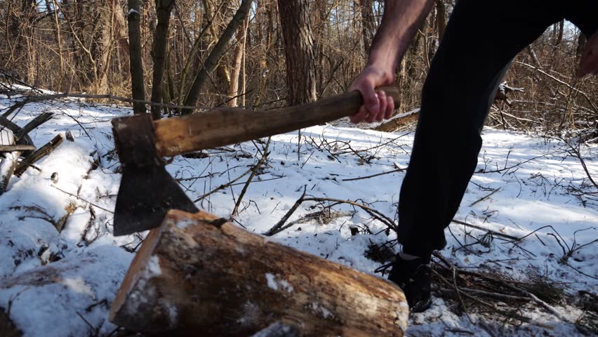 Shirtless young man chopping firewood in a sunny winter forest. Muscular guy working with axe in snowy woodland. Concept of strength, masculine, energy and harmony with nature during cold season