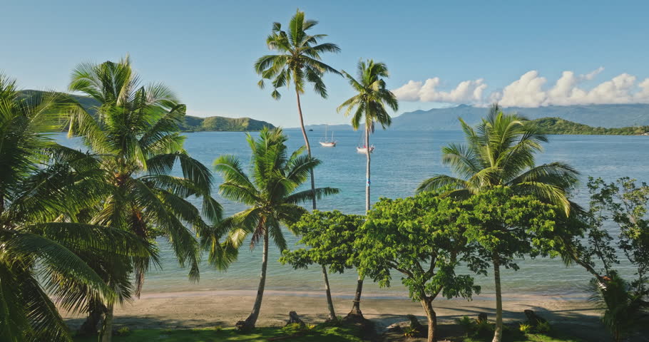 Tropical beach in Fiji featuring lush green palm trees swaying along the shoreline with two sailboats anchored in the turquoise ocean, framed by distant islands under a clear blue sky