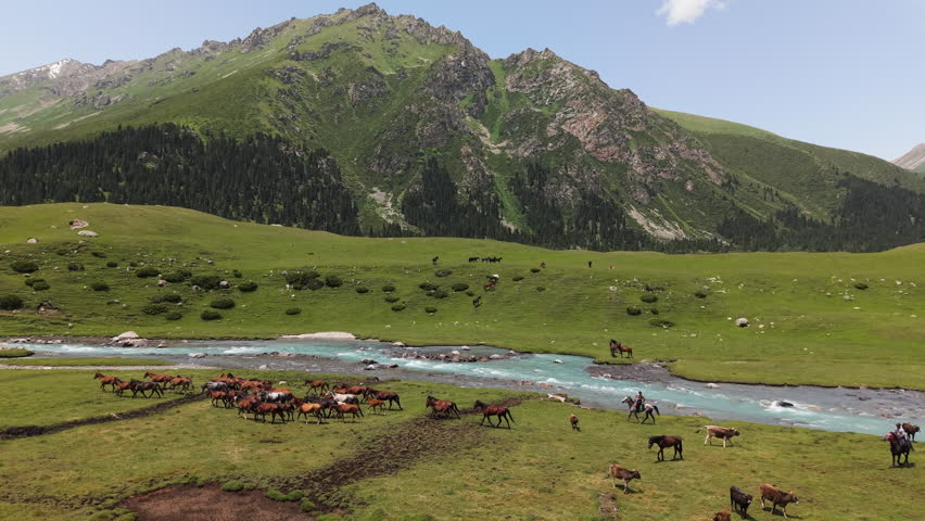 Herd Of Animals Near River With Steep Rugged Mountains In Kyrgyzstan, Central Asia. Aerial Drone Shot