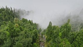 Dramatic aerial view of Mount Agung's dense forest treetops disappearing into a thick layer of atmospheric mist and clouds, creating a mysterious natural landscape - Powered by Shutterstock - Get 15% off with code: PIKWIZARD15