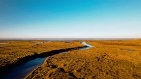  An aerial view reveals the wild, intricate patterns of a braided river delta at Archacon Bay, where freshwater dramatically meets the sea. - Powered by Shutterstock - Get 15% off with code: PIKWIZARD15