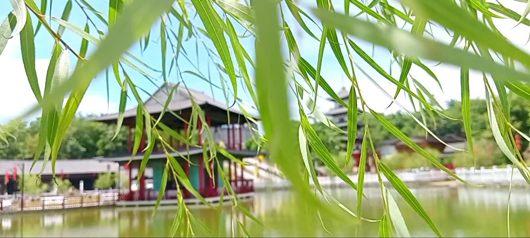 mini lake with green water in the middle there is a beautiful building