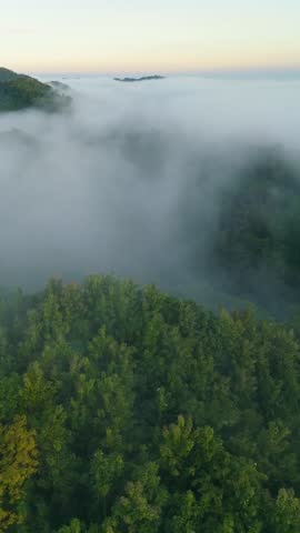 Dawn Mist Veil Over Green Hills – 4K Drone Aerial