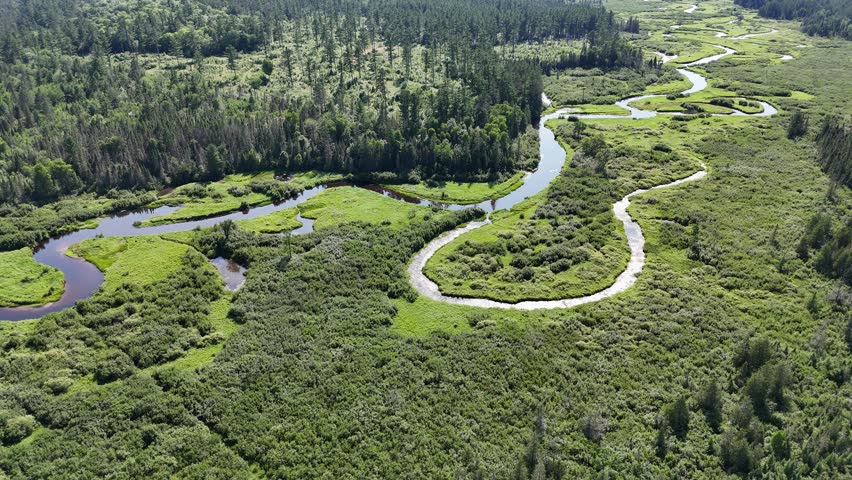 river in the middle of forest Wisconsin