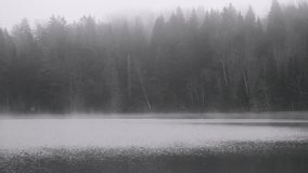 Slow Mist Drift Over Calm Lake in Early Morning Fog – Serene Forest Landscape Cinematic Nature Scene - Powered by Shutterstock - Get 15% off with code: PIKWIZARD15