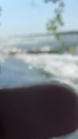 Beautiful water with hanging some beautiful trees