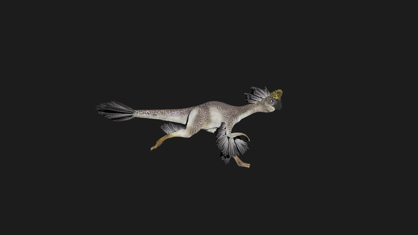 Realistic Oviraptor Dinosaur Running Side View
