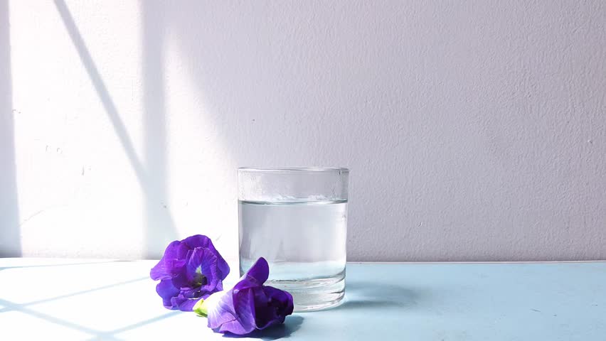 A time-lapse video of brewing Butterfly Pea flower tea (clitoria ternatea). Hot water turns deep blue as the flowers infuse, stirred by a metal spoon. A natural process of making herbal tea.