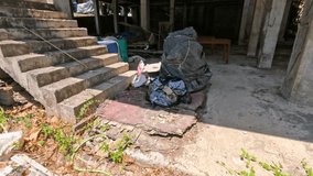 Camera pans past concrete stairs, construction debris, rubbish, and overgrown plants in bright sunlight - Powered by Shutterstock - Get 15% off with code: PIKWIZARD15
