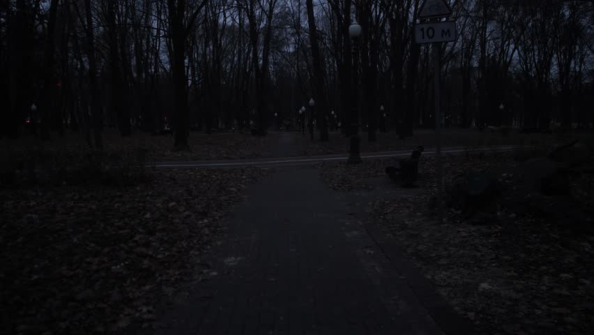 Night winter Park background 4k