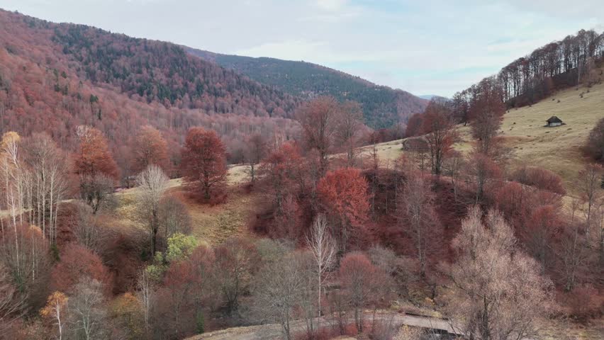Autumn forest landscape with colorful trees and rolling hills in daylight