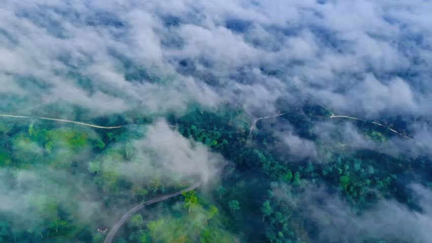Aerial view of a road through a forest covered in fog in sajek valley