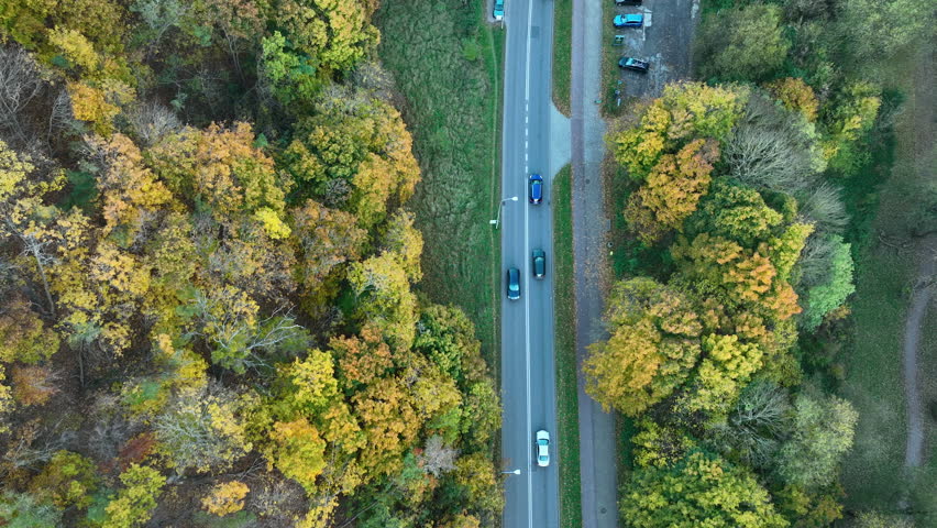 Top-down view of winding road between trees in autumn with vehicles