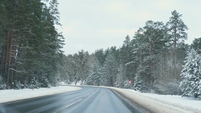 Winter Road Through a Snow-Covered Pine Forest on an Overcast Day