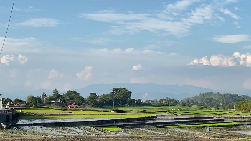 Rural village scene with houses and bright green rice paddies stretching to the horizon under a vast, cloudy blue sky. Agricultural landscape.