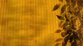 Shadow of leaves, tropical trees, orange transparent fluted stained reeded glass in dappled sunlight, majestic sunset and breeze. Elegant, luxury, fashion, beauty, interior background. Wabi Sabi - Powered by Shutterstock - Get 15% off with code: PIKWIZARD15