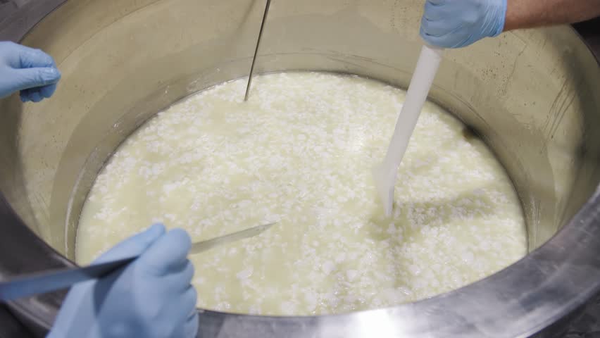 Production of Cheese on Modern Technology