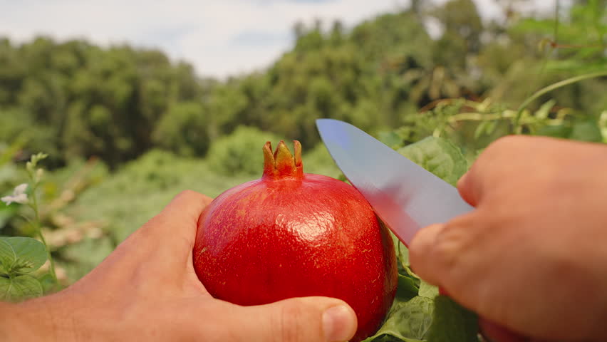 Cutting Top of Pomegranate with Knife Held by Both Hands Over Green Leaves Captured in First-Person Perspective, Fresh Preparation Concept.