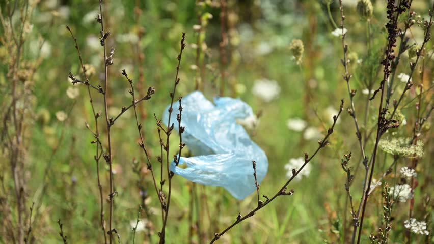 Blue plastic bag caught in dry vegetation on rural meadow, symbolizing pollution and environmental neglect. 4K with selective focus.