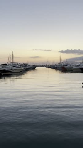 Sailing boats parked at Alghero