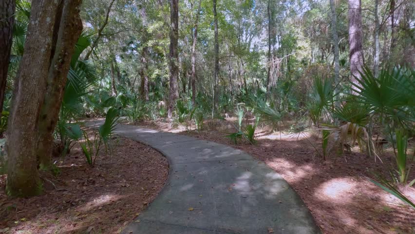 Paved Walking and Biking Path through the Florida Nature
