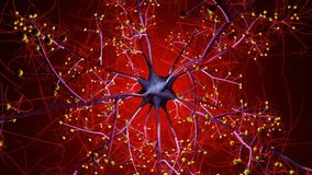 Close-up of the complex, interconnected network of human brain neurons and nervous system, illustrating neuroscience, biology, and medical science. - Powered by Shutterstock - Get 15% off with code: PIKWIZARD15