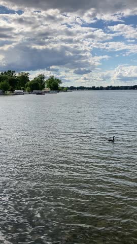 Floating alone on the lake