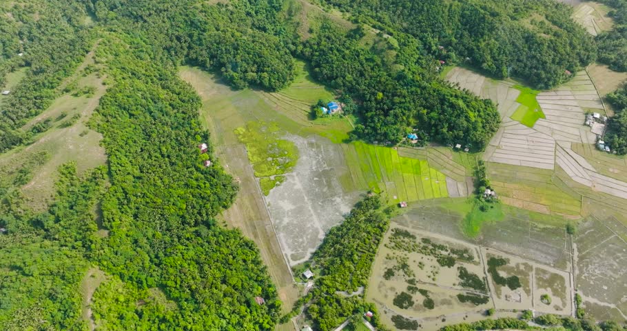 Farmland with paddy rice fields and forest in Santa Fe, Tablas, Romblon. Philippines.