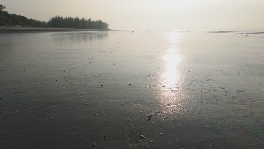 A peaceful sunrise over a calm sea, featuring soft silver reflections shimmering across the water. The smooth waves, gentle light, and serene morning atmosphere create a soothing coastal scene .