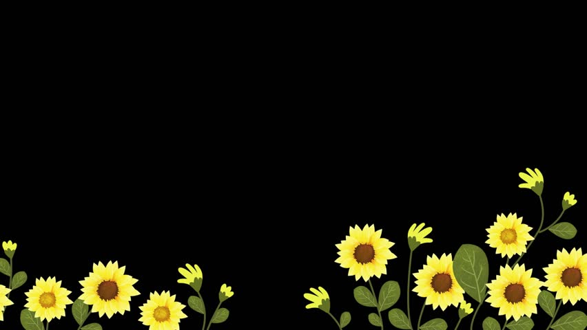 Sparkling Have A Nice Day text emerging from a burst of glitter particles, perfect for celebration-themed videos.