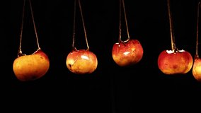 Hanging lanterns made from turnips, light festival decor - Powered by Shutterstock - Get 15% off with code: PIKWIZARD15