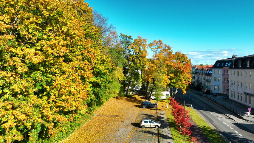 Drone view of Sopot suburbs blending with dense autumn forest under a bright blue sky.