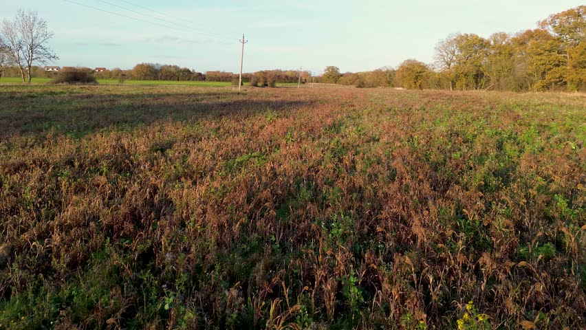 An expansive aerial view of the UK countryside at sunset, featuring a vibrant green field with a cluster of trees and a telephone pole, casting long shadows under the warm evening light.