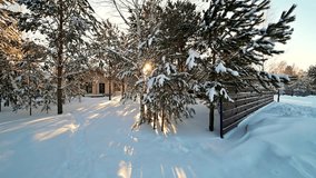 A serene winter scene with snow-covered trees and a path leading towards a cozy house bathed in sunlight. - Powered by Shutterstock - Get 15% off with code: PIKWIZARD15